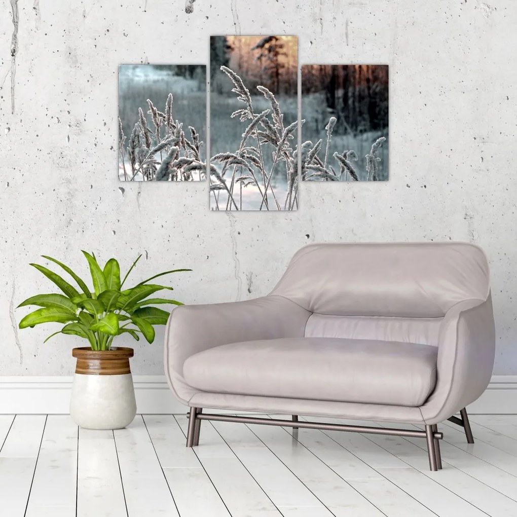 Obraz - Zamrznutá lúka (90x60 cm)