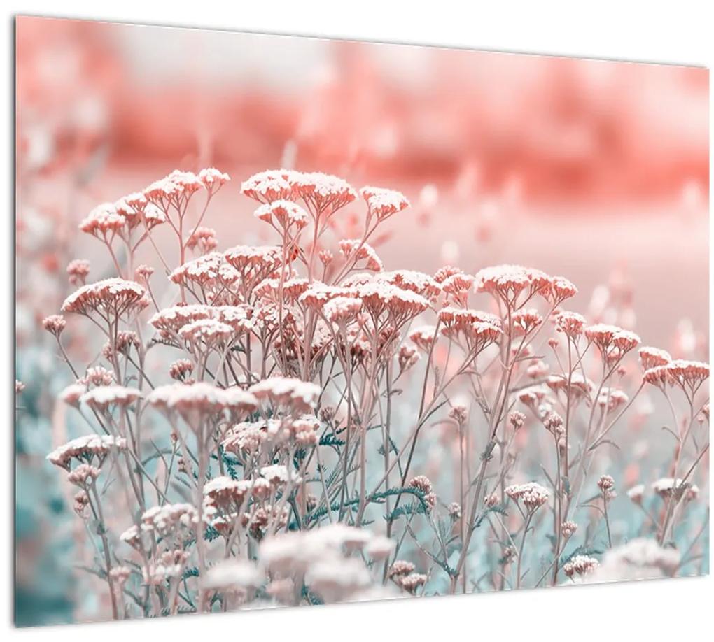 Obraz - Lúčne kvety (70x50 cm)