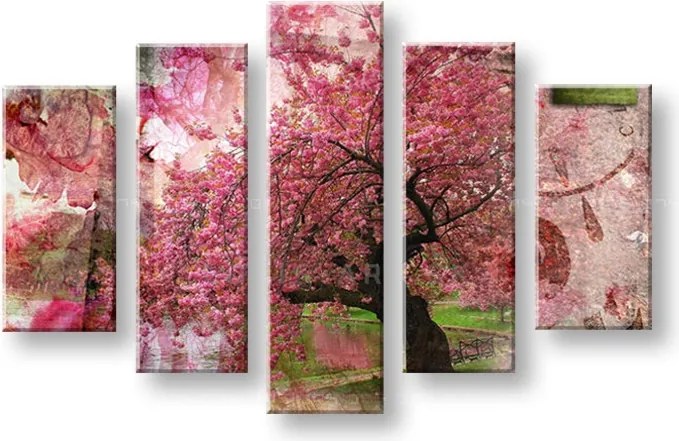 Afternoon at park / Tom Loris 003N5