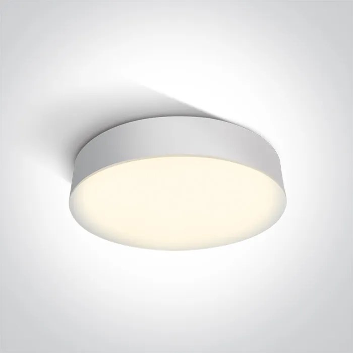 Vonkajšie stropné svietidlo ONE LIGHT ext. stropné svietidlo 67390/W/C