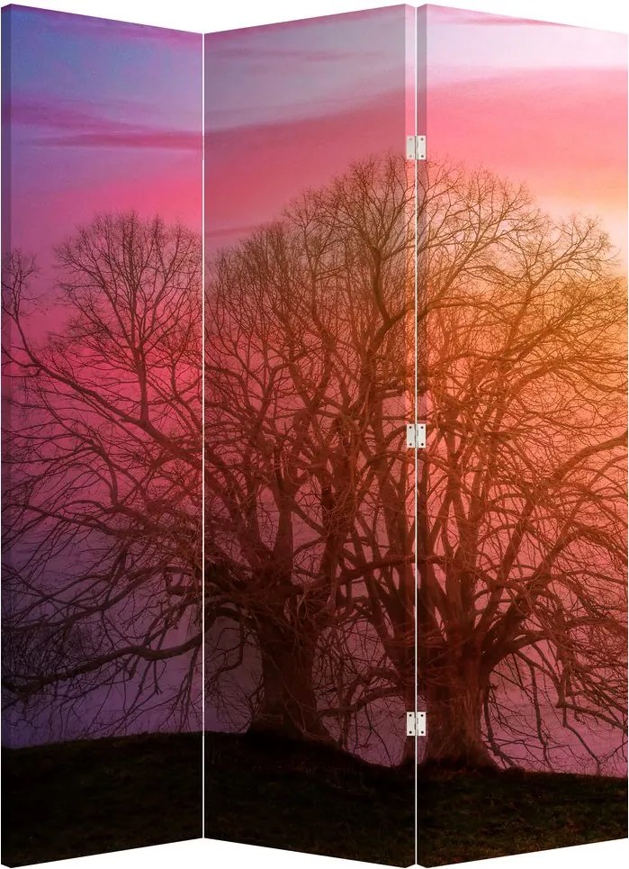 Paraván - Strom v hmle (126x170 cm)