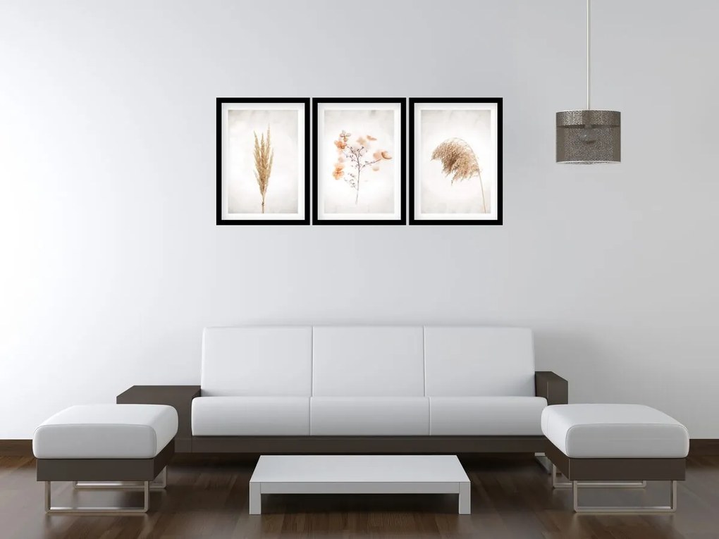 Gario Sada plagátov Dry nature - 3 dielna Farba rámu: Bez rámu, Rozmery: 99 x 45 cm