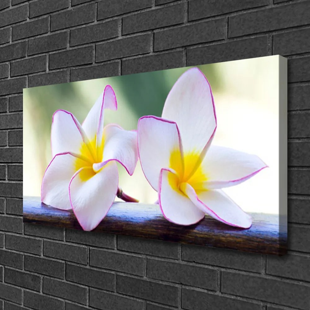 Obraz Canvas Kvety plátky plumérie 125x50 cm