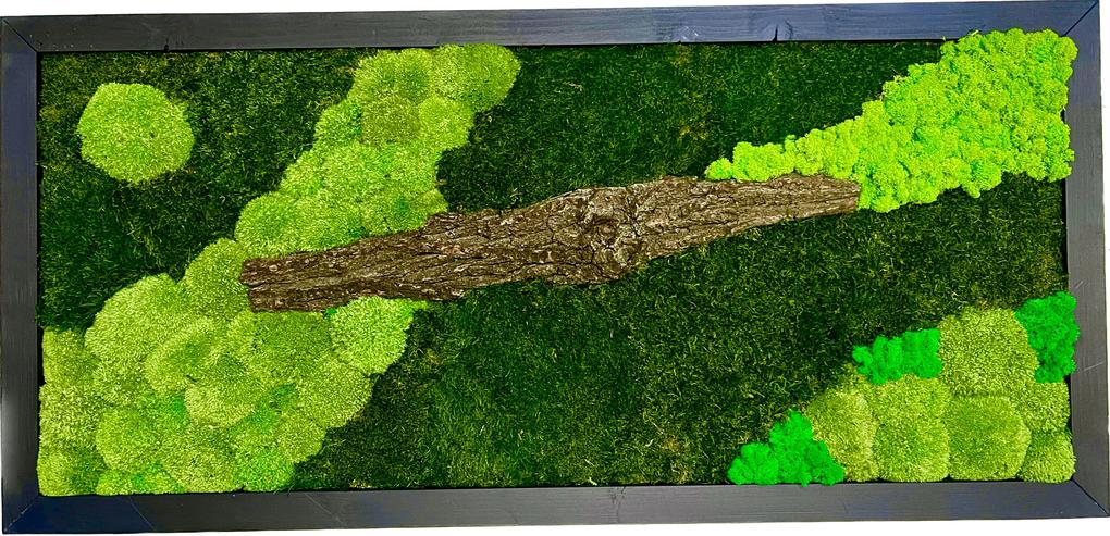 Machový obraz mix machu - kôra 128 * 60cm - drevený rám čierny