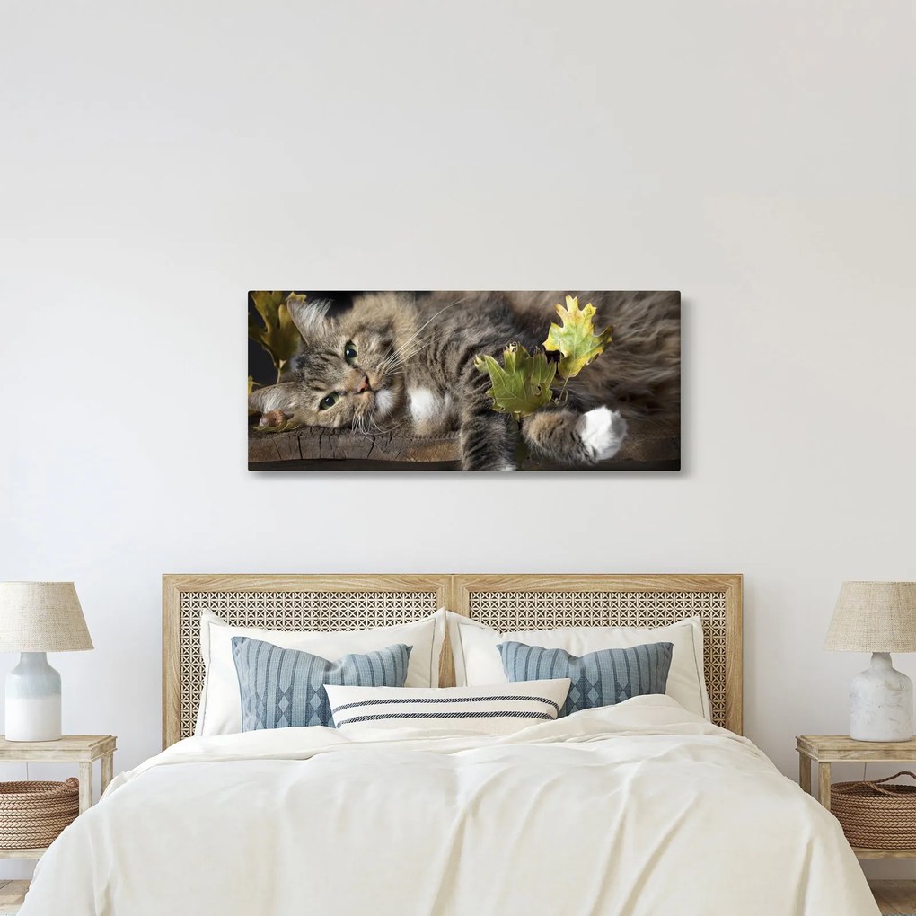 Obraz - Ležiaca mačka (120x50 cm)