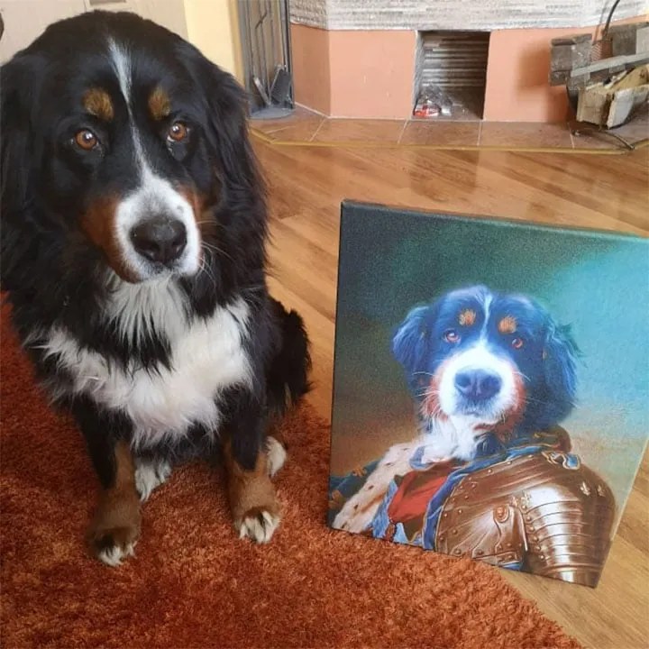 Obraz z fotky na plátne Generál_2 – 50x60 cm | rôzne uniformy