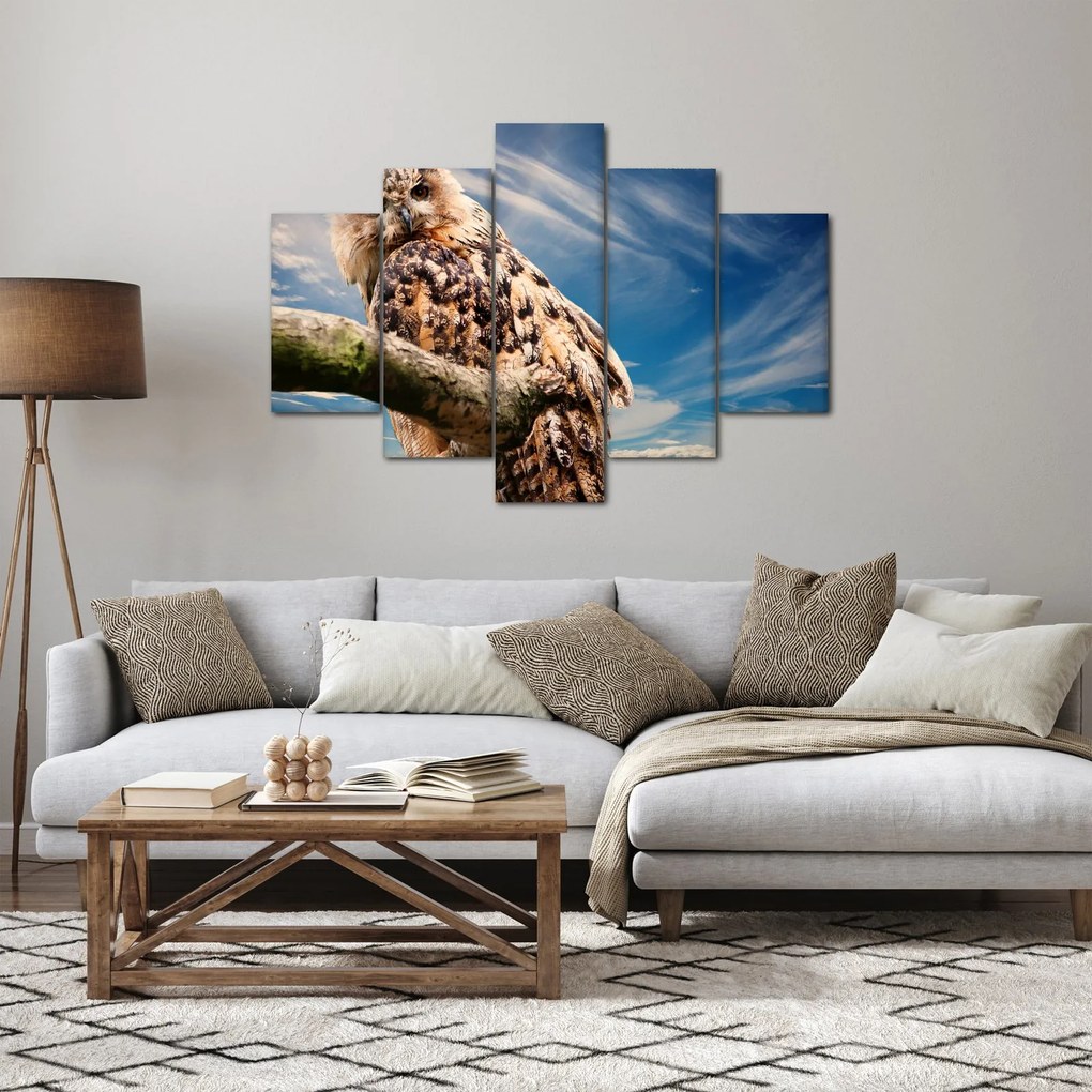Obraz sovy (150x105 cm)