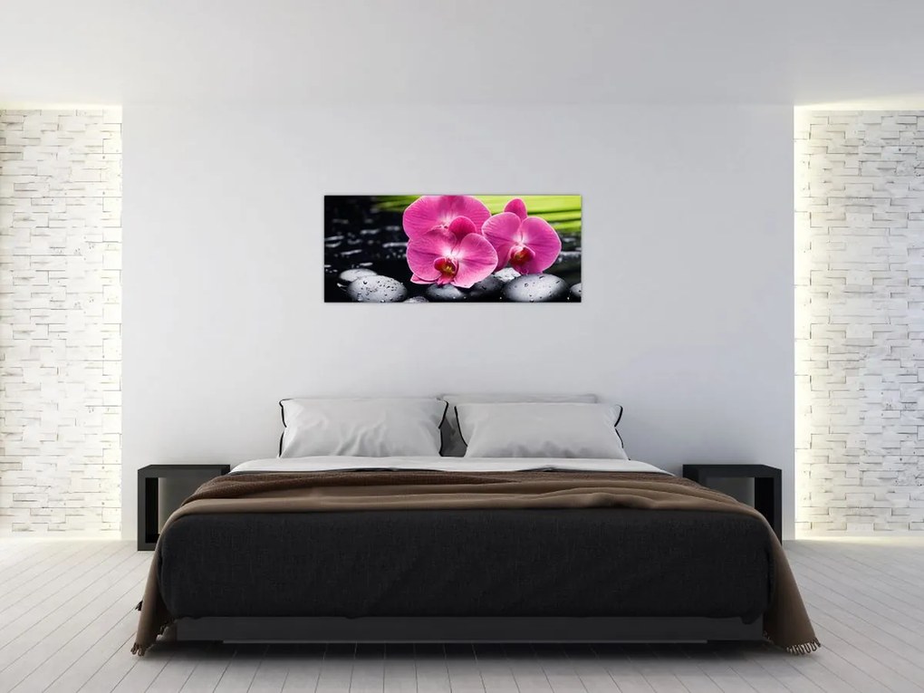 Obraz - Ružové orchidey s palmovým listom (120x50 cm)