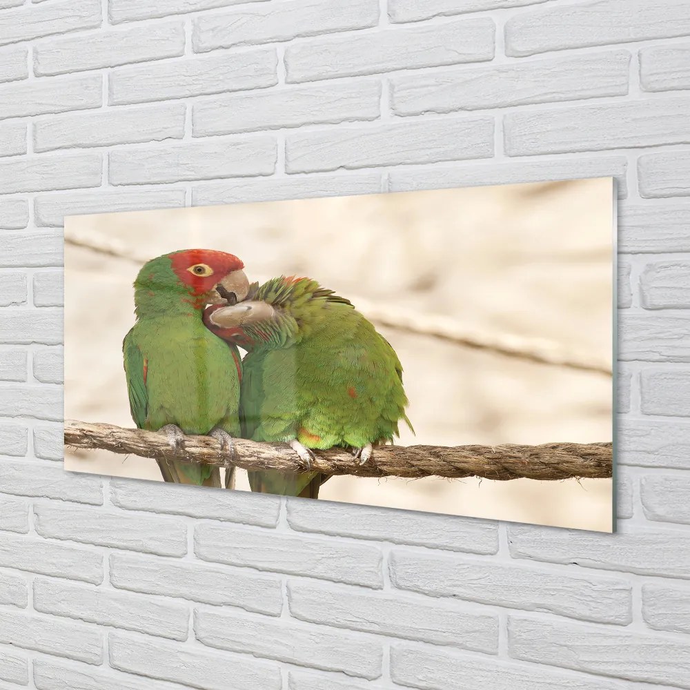 Nástenný panel  zelené papagáje 120x60 cm
