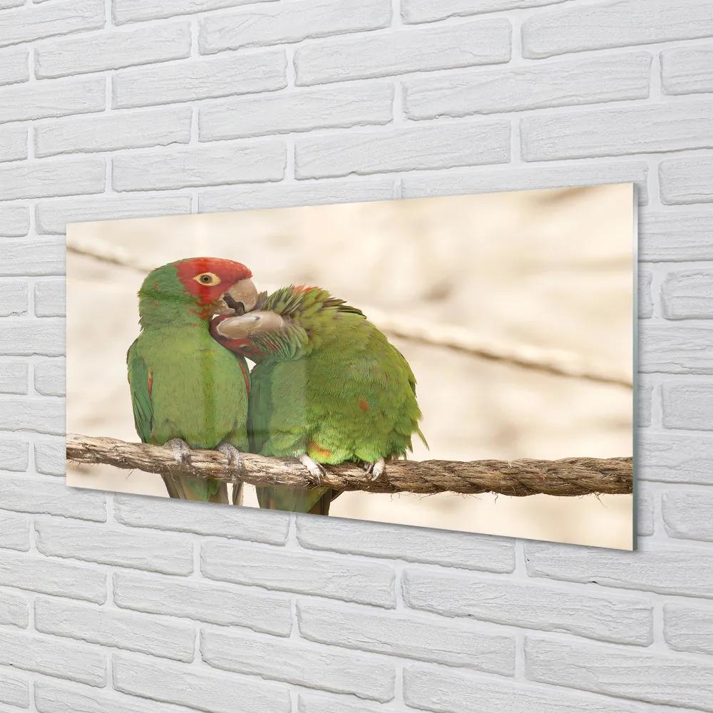 Nástenný panel  zelené papagáje 125x50 cm