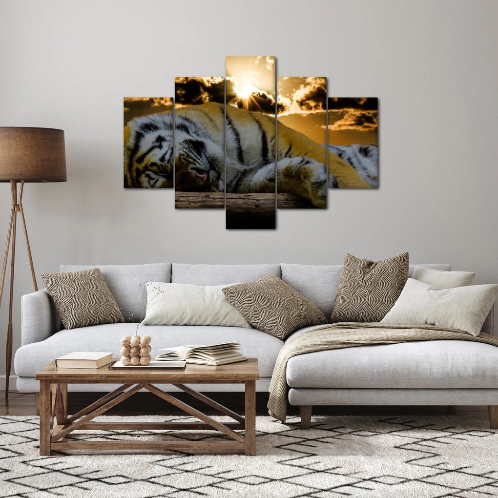 Obraz spiaceho tigra (150x105 cm)