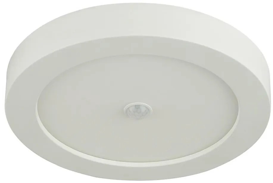 Globo 41605-18S - LED Vonkajšie stropné svietidlo so senzorom PAULA 1xLED/18W/230V GL4846