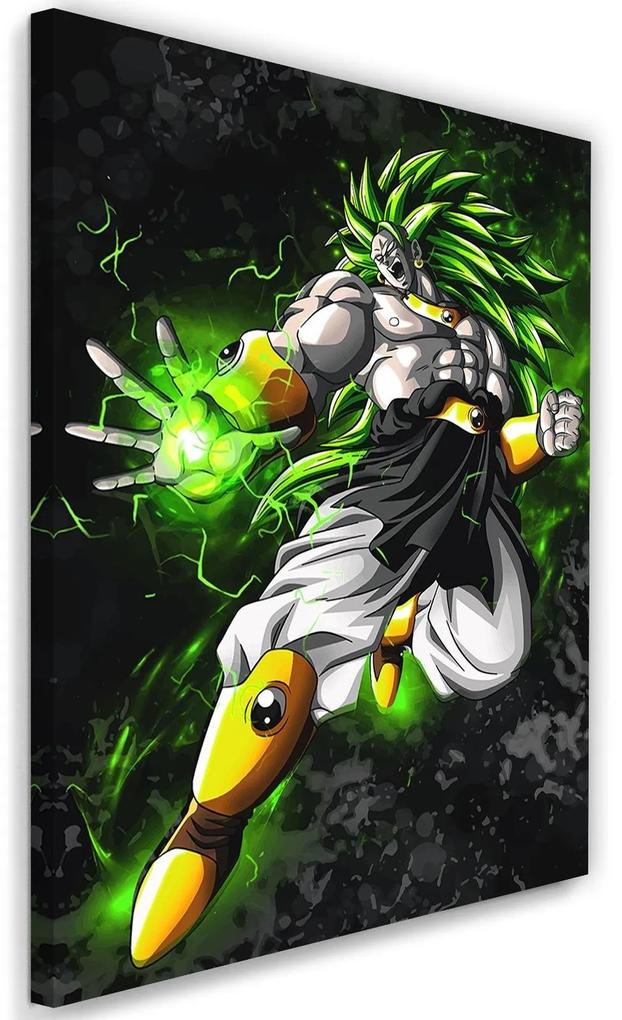 Gario Obraz na plátne Dragon Ball Broly - SyanArt Rozmery: 40 x 60 cm