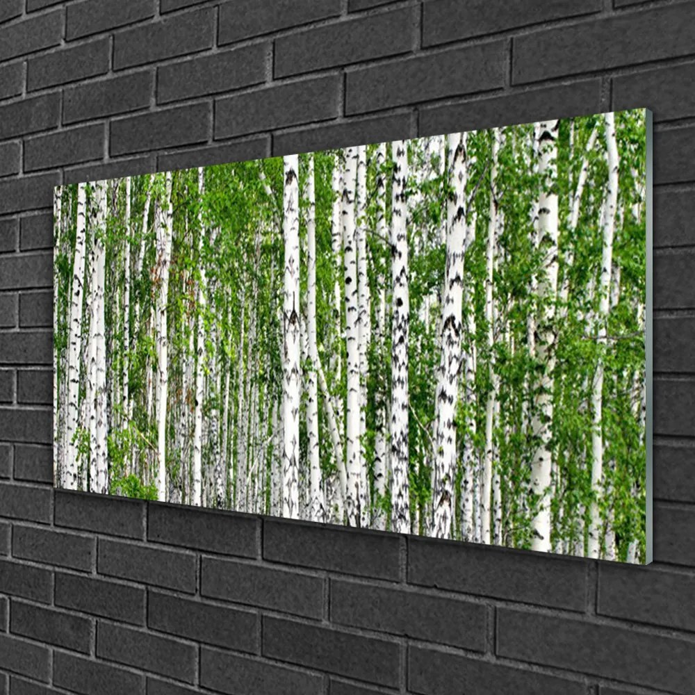Obraz na skle Breza les stromy príroda 120x60 cm