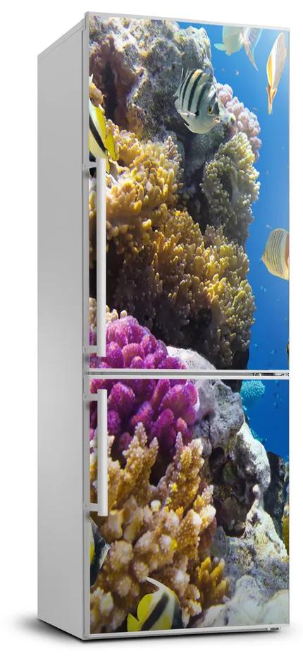 Nálepka fototapeta chladnička Koralový útes XL FridgeStick-70x190-f-36026012