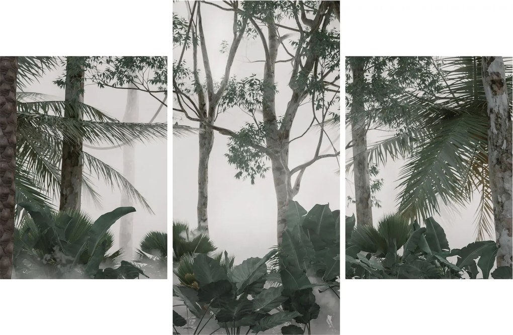 Obraz - Jungle v rannej hmle (90x60 cm)