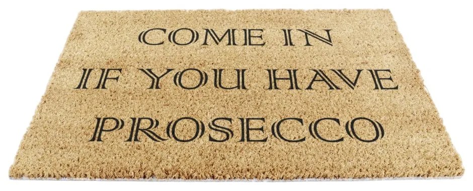 Rohožka z kokosového vlákna 40x60 cm Prosecco – Artsy Doormats