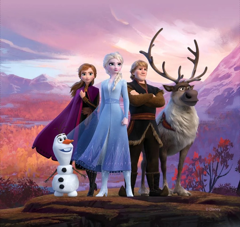 Detský vankúšik FROZEN 2 40x40 cm