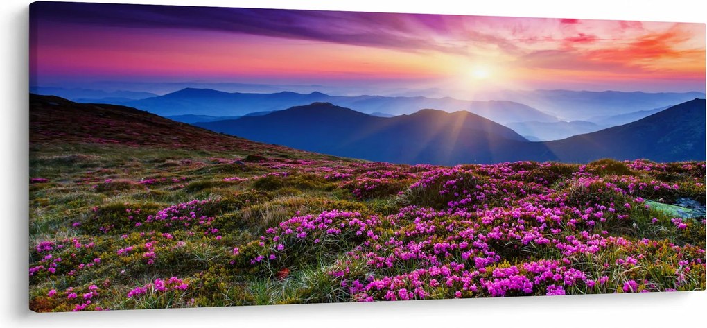 Obraz - Horská rozkvitnutá krajina (120x50 cm)