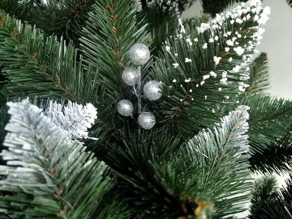 Limpol Borovica Iza Perla 2,20 m