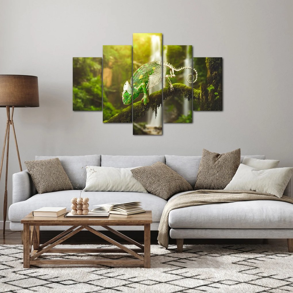Obraz chameleóna (150x105 cm)