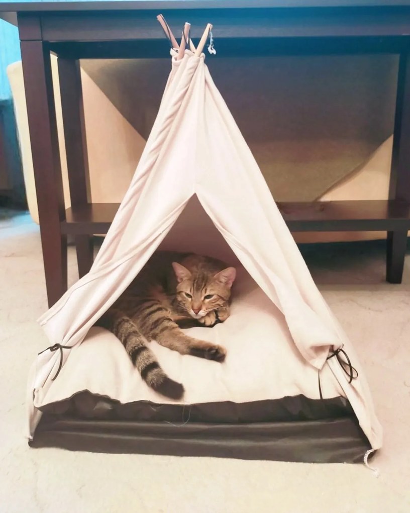 Pelíšek pro zvířata Teepee bílý