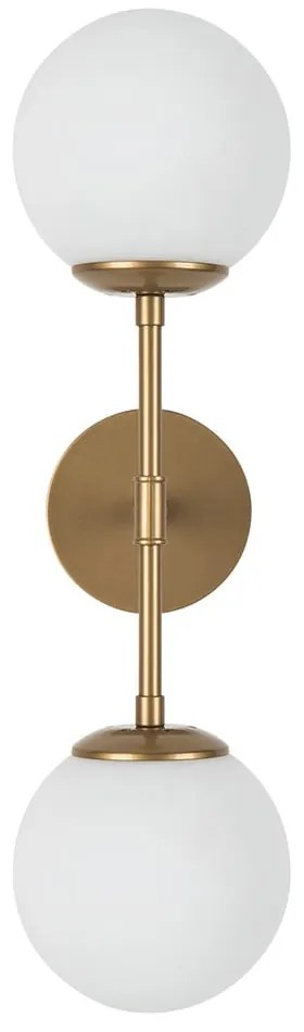 Nástenné svietidlo v zlatej farbe Squid Lighting Kruva, dĺžka 58 cm