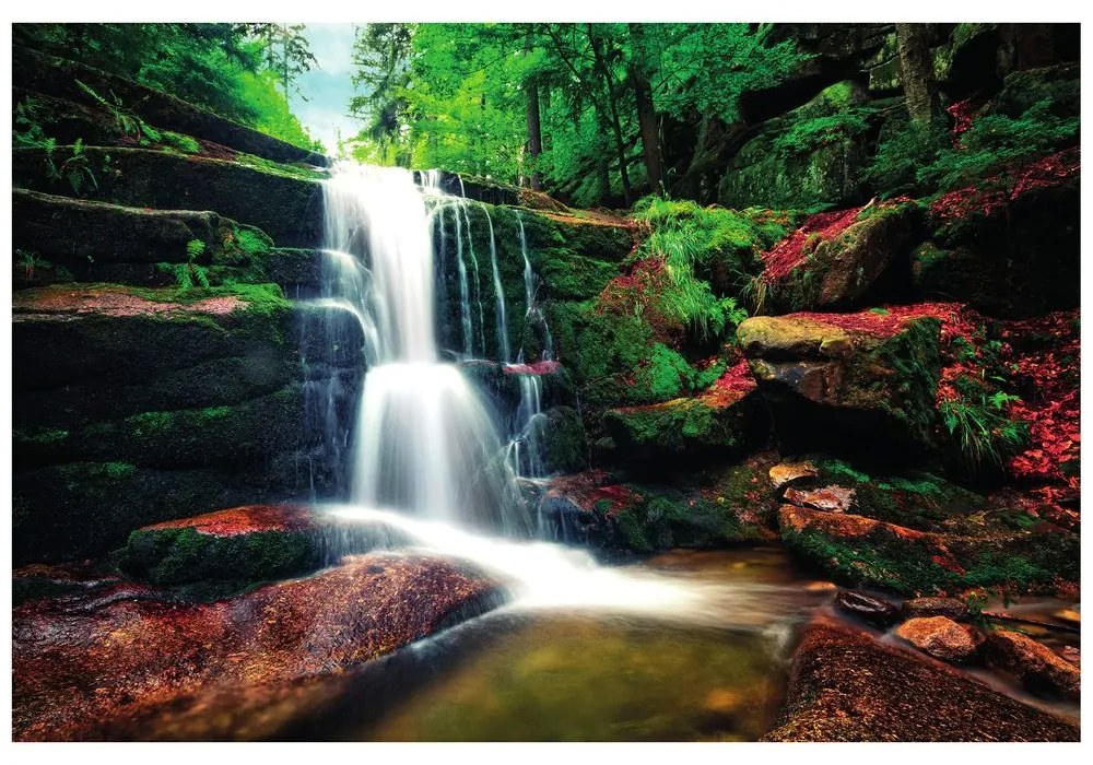 Fototapeta vodopád v lese