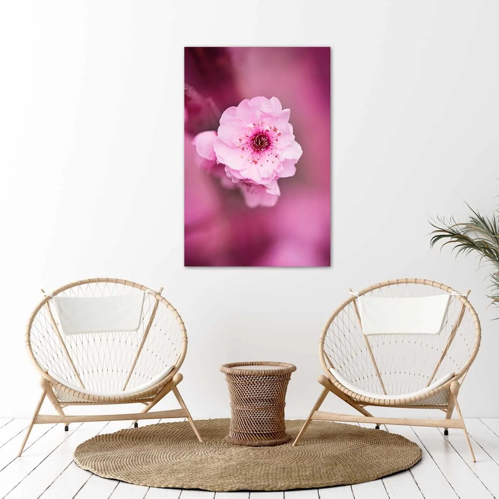 Gario Plagát Čerešňový kvet v záhrade Farba rámu: Bez rámu, Rozmery: 40 x 60 cm