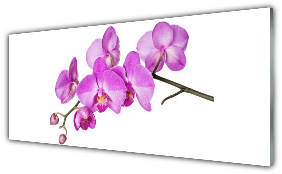 Obraz plexi Vstavač orchidea kvety 125x50 cm