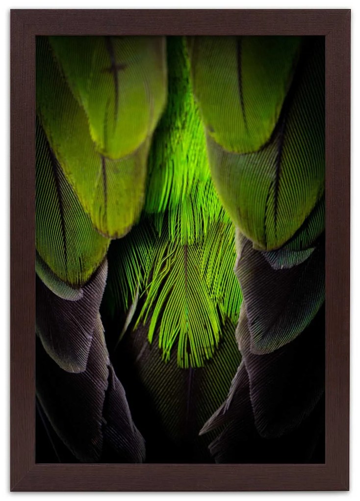 Gario Plagát Zelené perie Farba rámu: Bez rámu, Rozmery: 40 x 60 cm