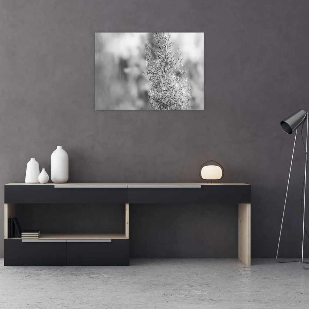 Sklenený obraz - Boho pampas grass (70x50 cm)