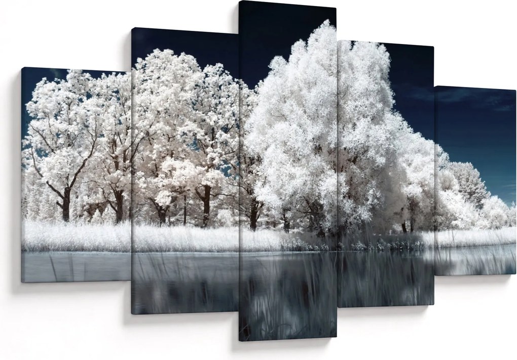 Obraz - Snehobiele stromy (150x105 cm)