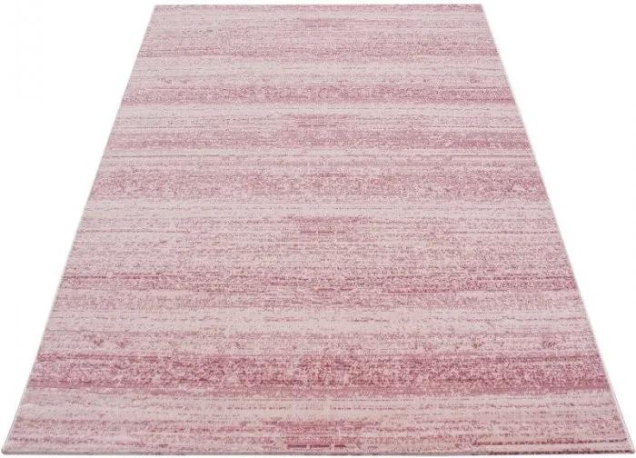Ayyildiz koberce Kusový koberec Plus 8000 pink - 80x150 cm | BIANO