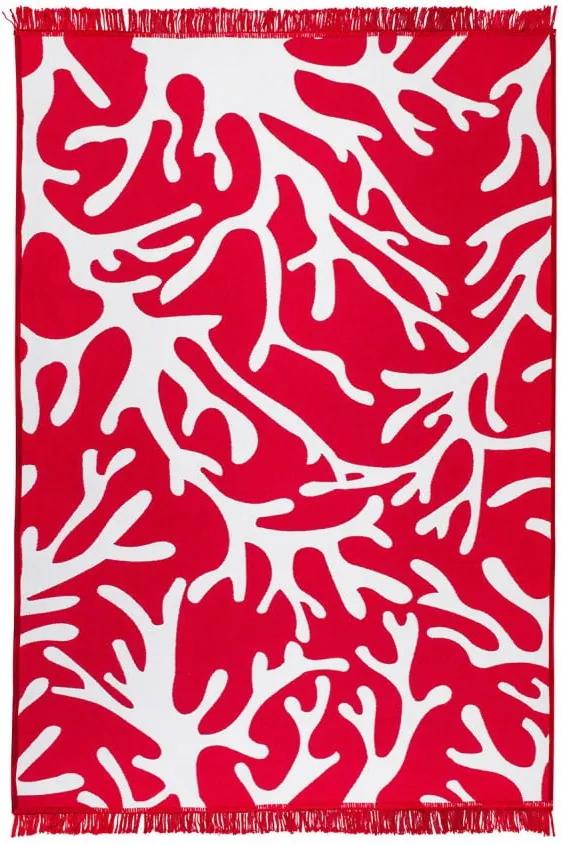 Červeno-biely obojstranný koberec Coral Reef, 80 × 150 cm | BIANO