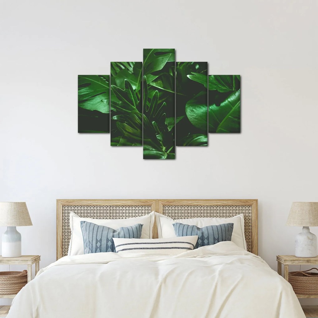 Obraz - Palmové listy (150x105 cm)