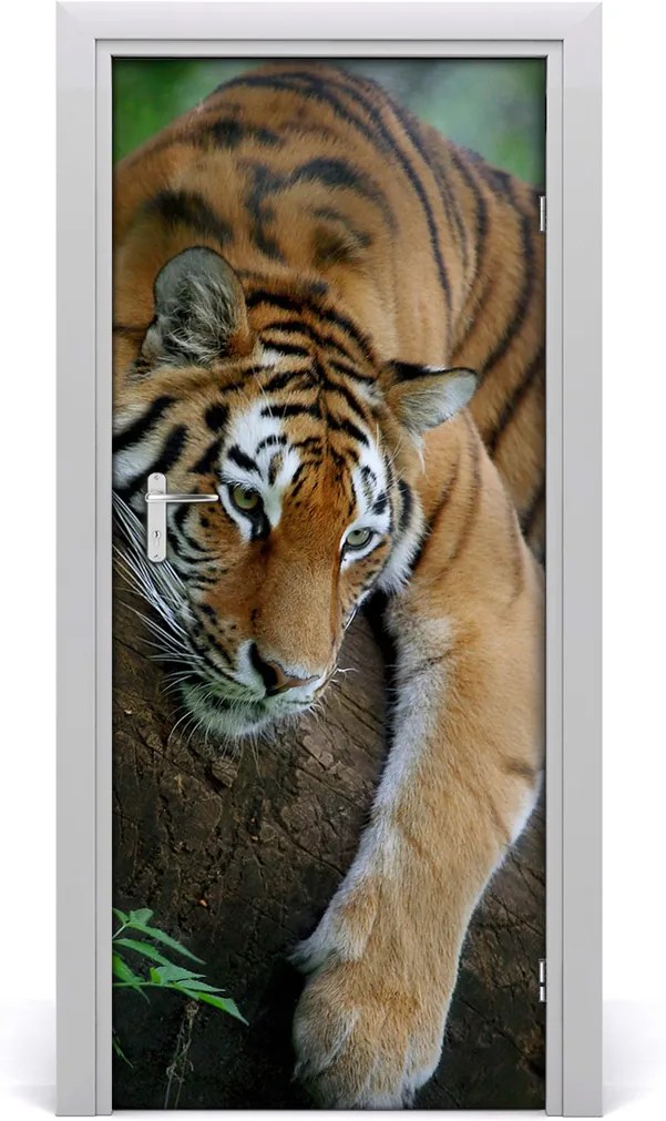 Samolepící fototapeta na dveře Tygr na stromě