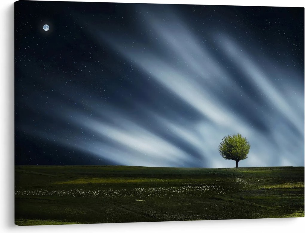 Obraz polárna žiara nad vresoviskom (70x50 cm)