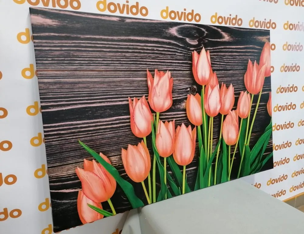 Obraz očarujúce oranžové tulipány na drevenom podklade