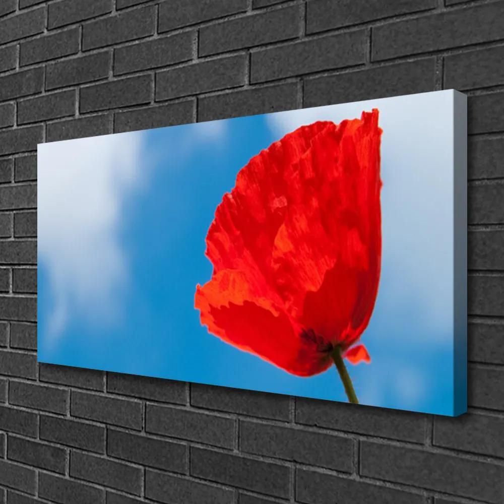 Obraz na plátne Tulipán 120x60 cm