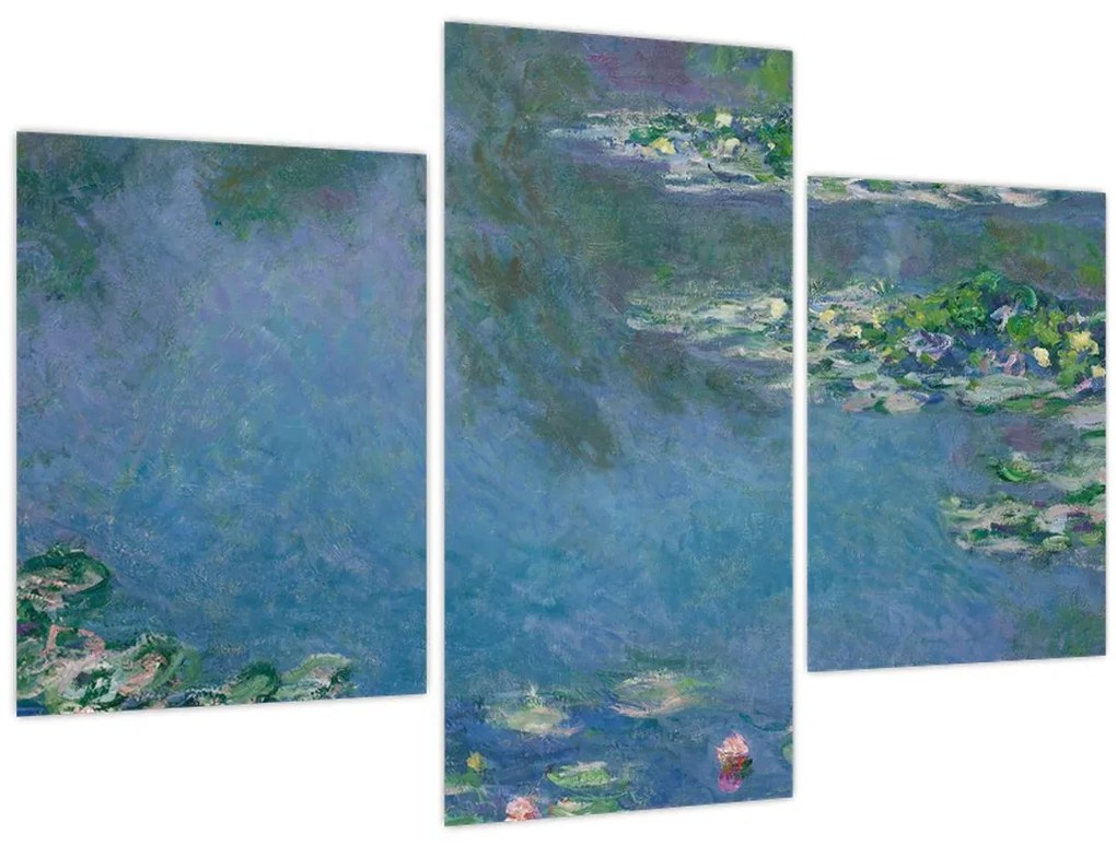 Obraz - Claude Monet, Water Lilies, reprodukcia (90x60 cm)