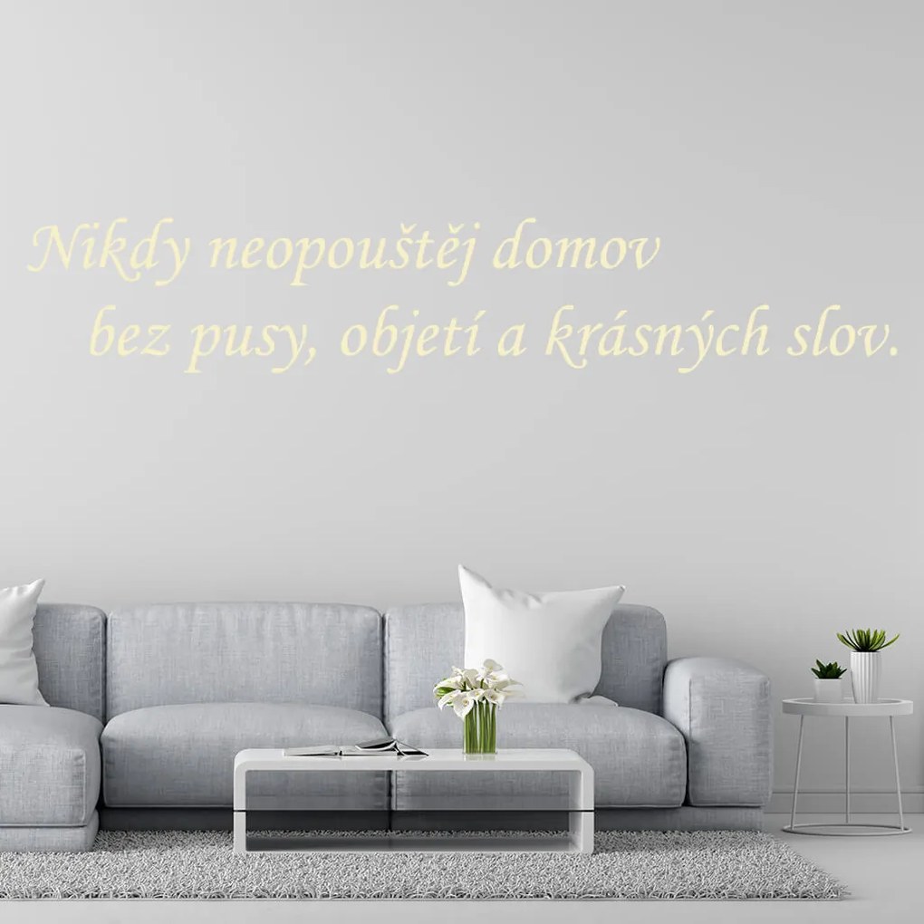 Veselá Stena Samolepka Nikdy neopúšťaj domov bez pusy, objatia a krásnych slov Farba: růžová, Veľkosť: 80 x 18 cm