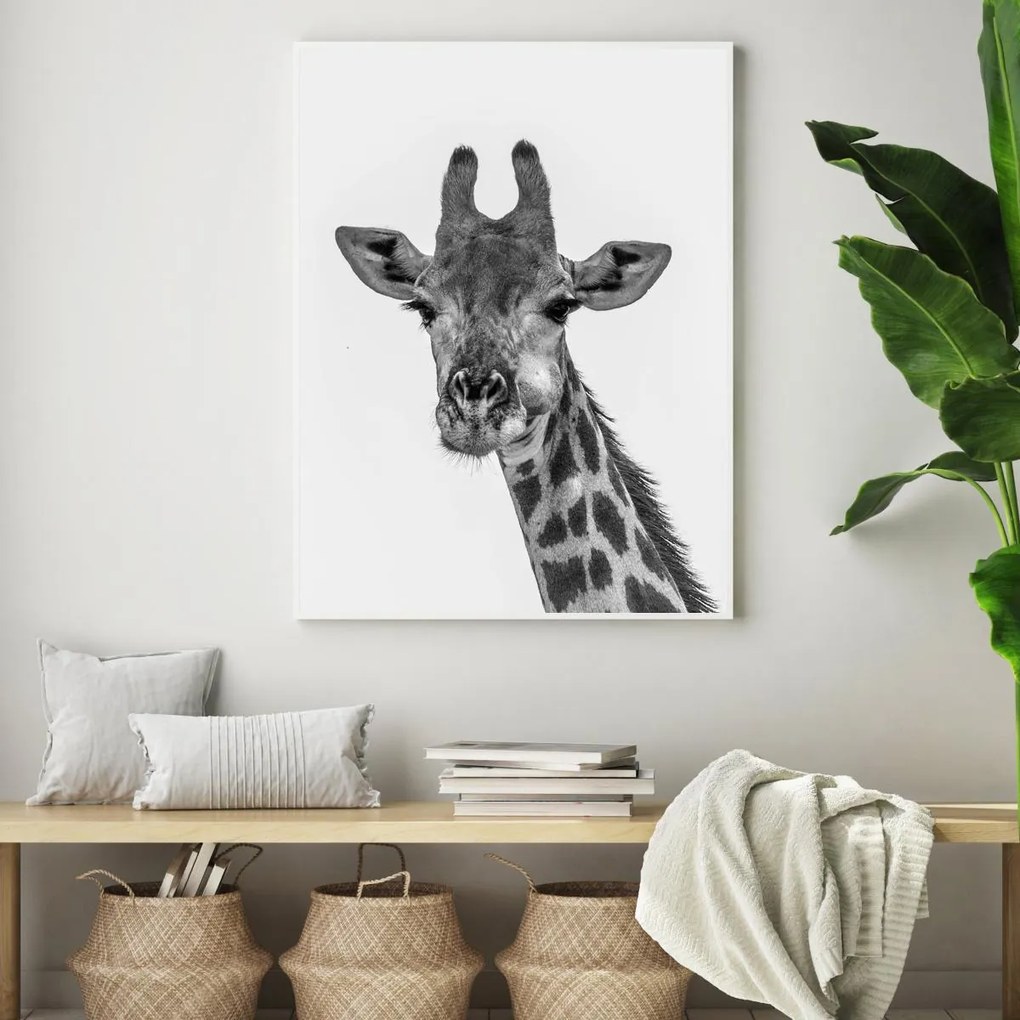 Plagát - Žirafa (A4)