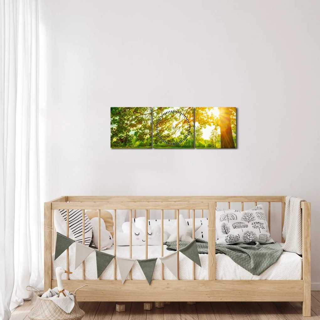 Obraz - Slnečný les (s hodinami) (90x30 cm)