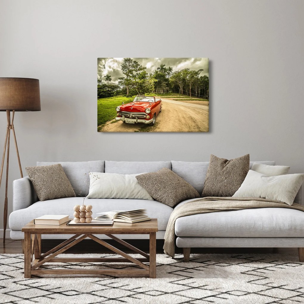 Obraz - auto veterán v prírode (90x60 cm)