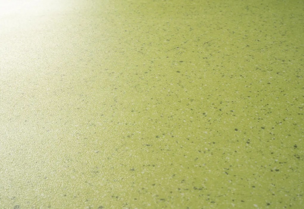 Beaulieu International Group, PVC podlaha - lino Master X 2973, na mieru, šíře 4m, zelená, pvc, chodba / predsieň