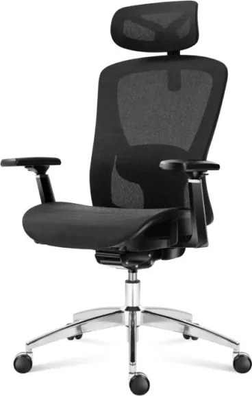 Kancelárska stolička Expert 5.3 Black Mesh