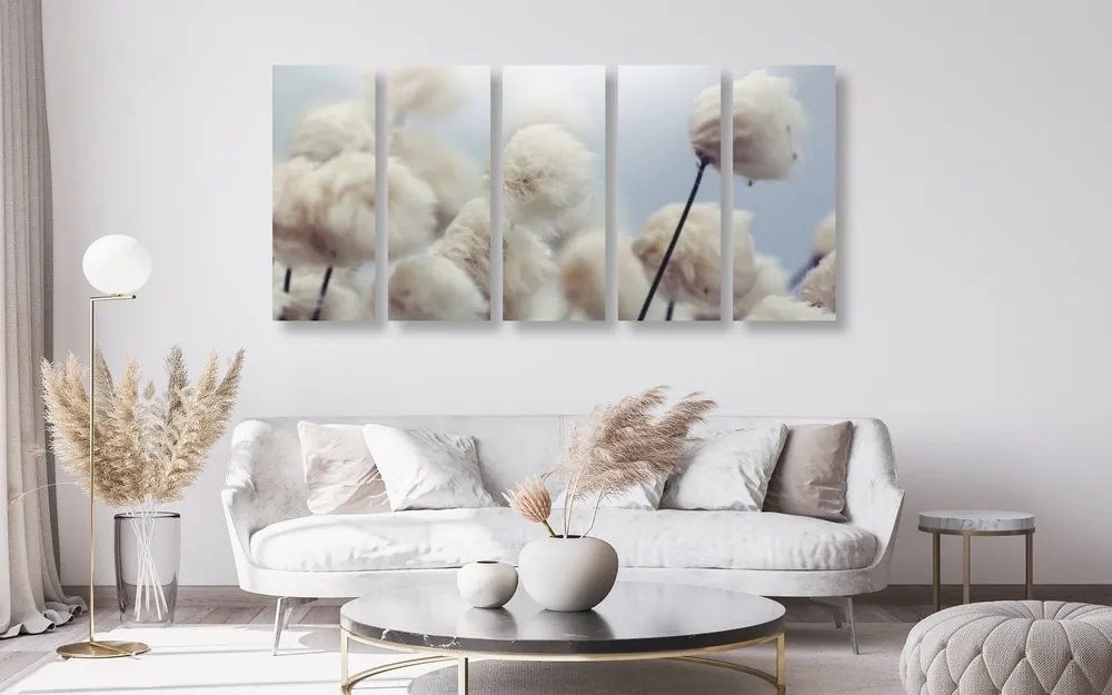 5-dielny obraz arktické kvety bavlny Varianta: 100x50