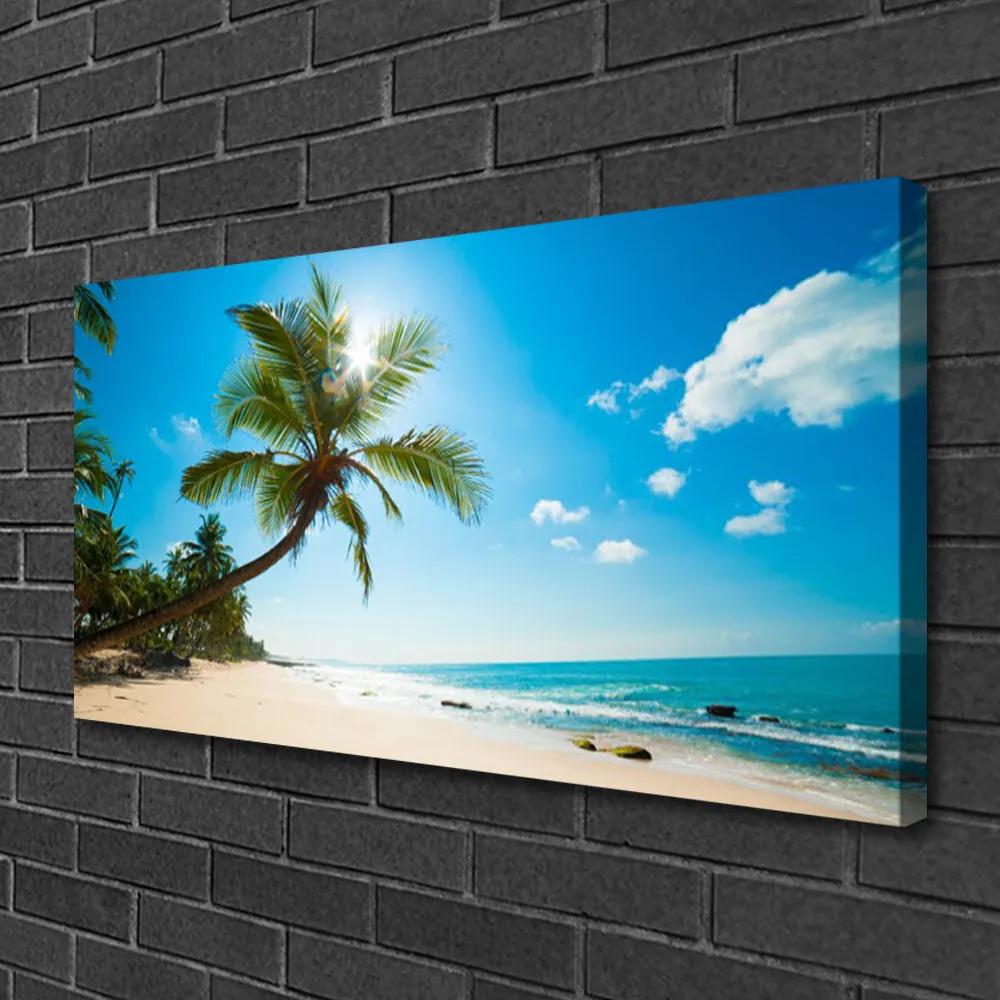 Obraz Canvas Palma strom pláž krajina 120x60 cm