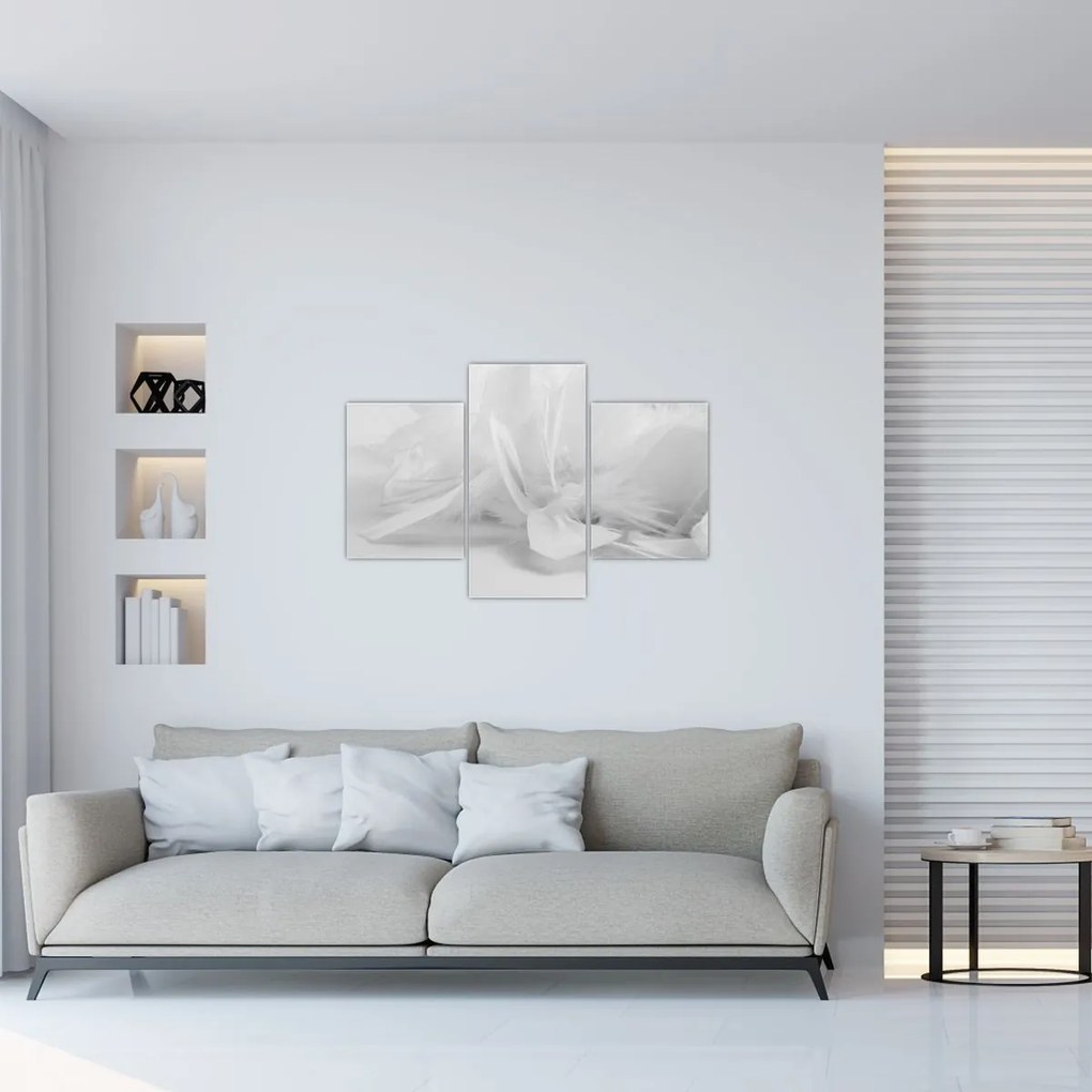 Obraz - Perie (90x60 cm)
